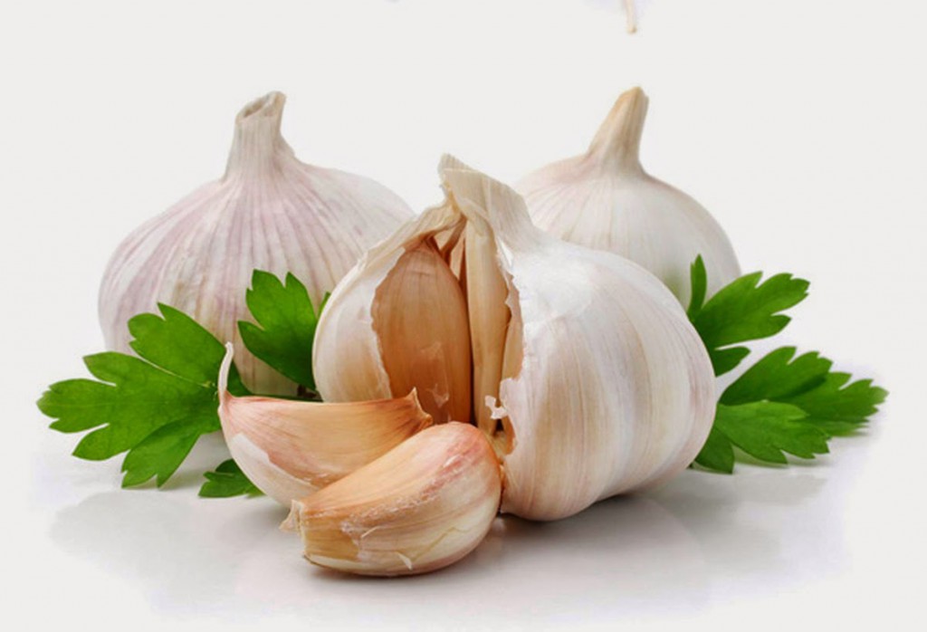 THUỐC ĐÔNG Y CHỮA BỆNH VIÊM XOANG