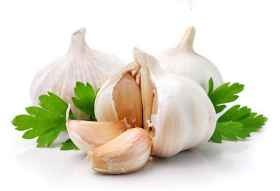 CÁC LOẠI TRÀ CHỮA BỆNH VIÊM XOANG HIỆU QUẢ