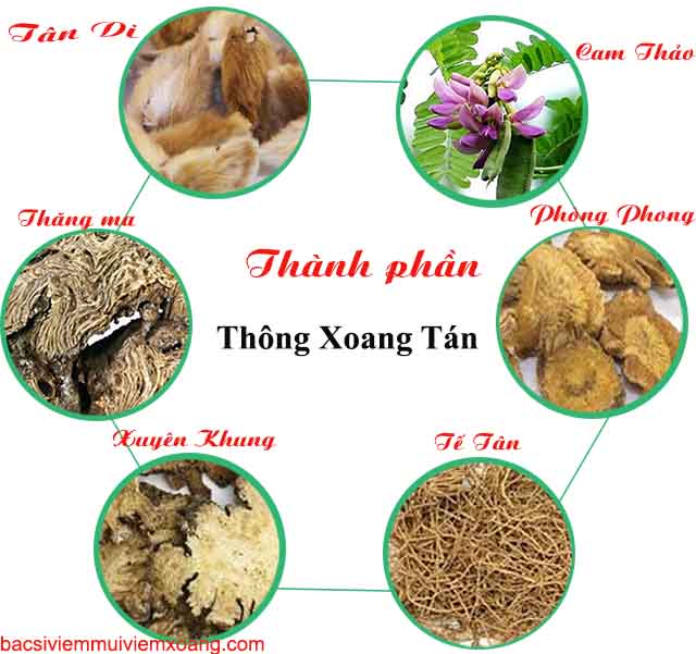 Thành phần Thông Xoang Tán Thành phần Thông Xoang Tán