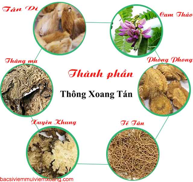 Thành phần Thông Xoang Tán