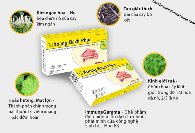 Thành phần Xoang Bách Phục Thành phần Xoang Bách Phục