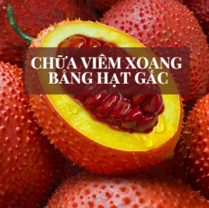 chữa viêm xoang mũi bằng hạt gấc chữa viêm xoang mũi bằng hạt gấc