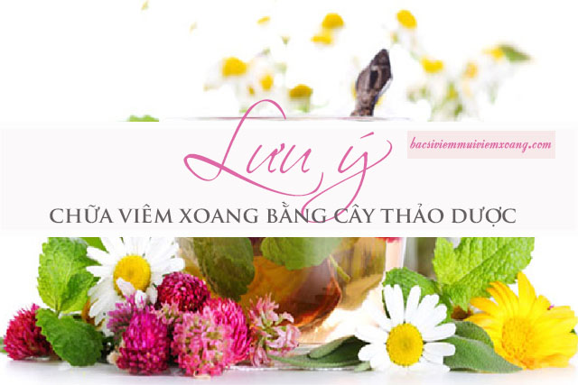 Những lưu ý người bệnh cần biết trong chữa viêm mũi viêm xoang bằng cây thảo dược Chữa viêm mũi viêm xoang bằng cây thảo dược