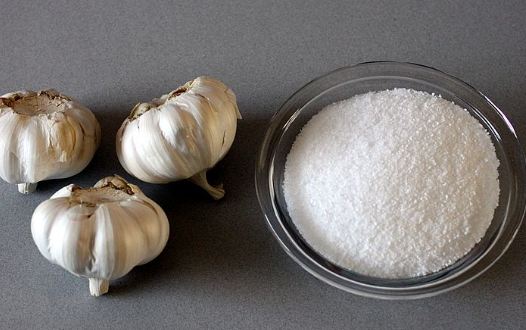 tỏi chữa viêm xoang mũi muối và tỏi chữa viêm xoang - Cách trị viêm mũi xoang bằng nước muối và tỏi