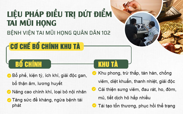 Cơ chế điều trị bổ chính - khu tà tại bệnh viện Tai Mũi Họng Quân dân 102