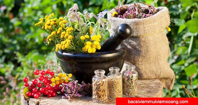 Đông Y trị viêm xoang Đông Y trị viêm xoang
