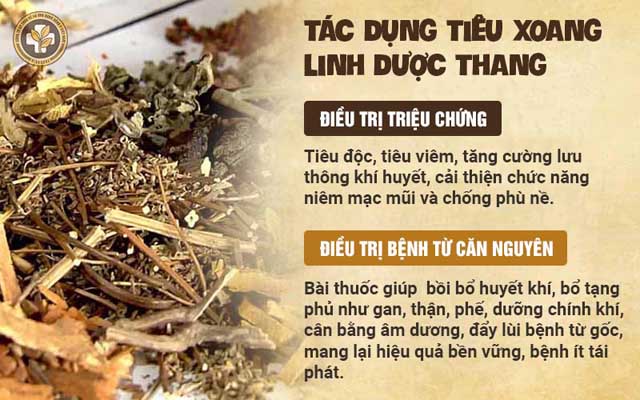 Tác dụng bài thuốc Tiêu Xoang Linh Dược Thang Tác dụng bài thuốc Tiêu Xoang Linh Dược Thang