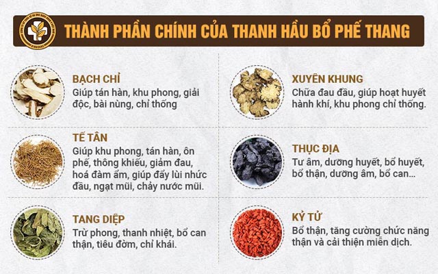 Thành phần Tiêu Xoang Linh Dược Thang chữa viêm xoang dứt điểm Thành phần Tiêu Xoang Linh Dược Thang chữa viêm xoang dứt điểm