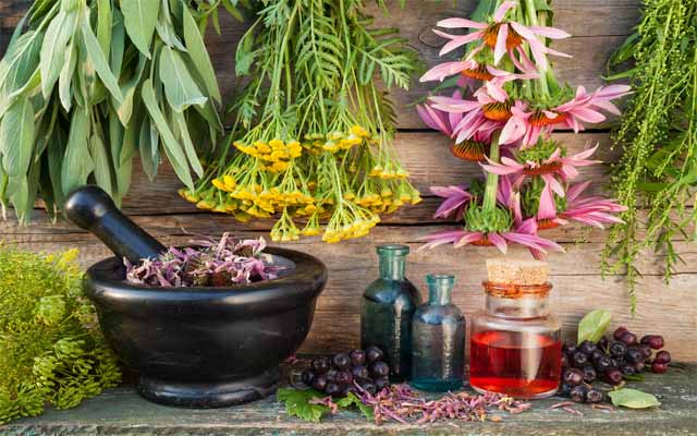 Đông y trị viêm xoang hàm Đông y trị viêm xoang hàm