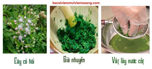 Chữa viêm xoang bằng cách thoa nước cây cỏ hôi Trị viêm xoang bằng cây cỏ hôi