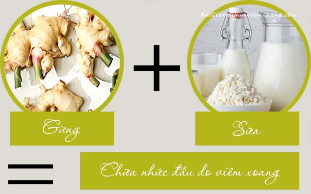 Cách trị nhức đầu do viêm xoang bằng gừng và sữa tươi Cách trị đau nhức đầu do viêm xoang bằng gừng và sữa tươi