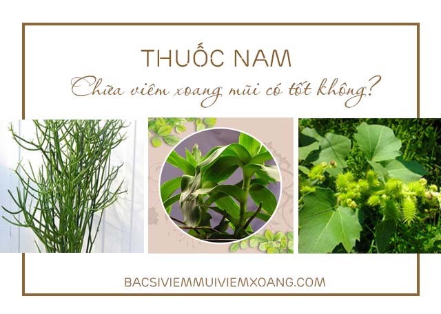 Thuốc Nam chữa bệnh viêm xoang mũi có tốt không? - cách chữa bệnh viêm xoang mũi bằng thuốc nam