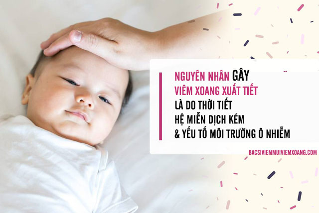 Nguyên nhân viêm mũi xoang xuất tiết - viêm mũi xoang xuất tiết phù nề