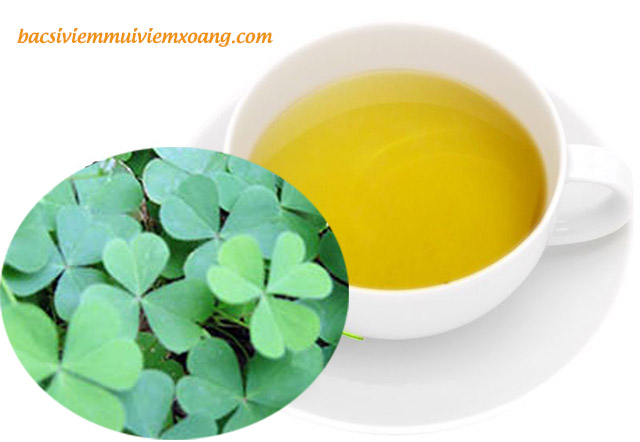 Dùng cây me đất chữa triệu chứng ho thông thường Chữa ho bằng cây me đất