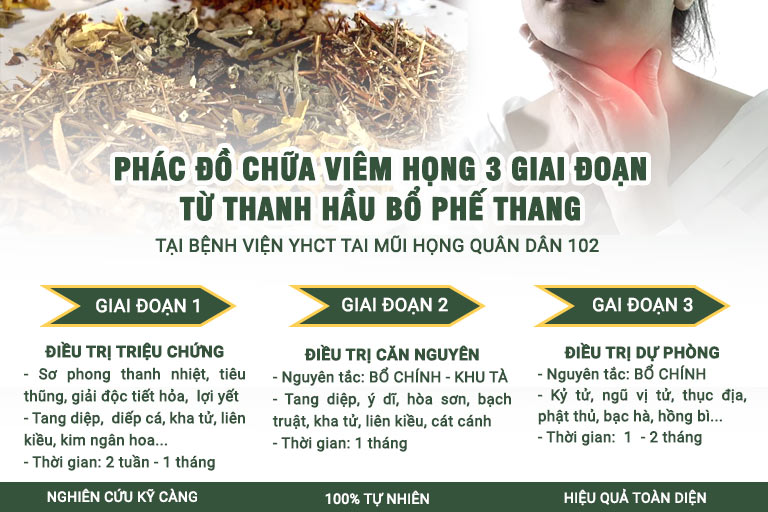 Phác đồ chữa viêm họng 3 giai đoạn hiệu quả TOÀN DIỆN từ Thanh Hầu Bổ Phế Thang Phác đồ chữa viêm họng 3 giai đoạn hiệu quả TOÀN DIỆN từ Thanh Hầu Bổ Phế Thang