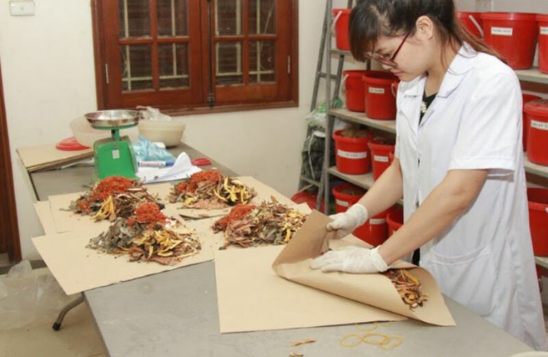 Kho dược liệu dùng trong khám, chữa bệnh của Trung tâm Kho dược liệu dùng trong khám, chữa bệnh của Trung tâm