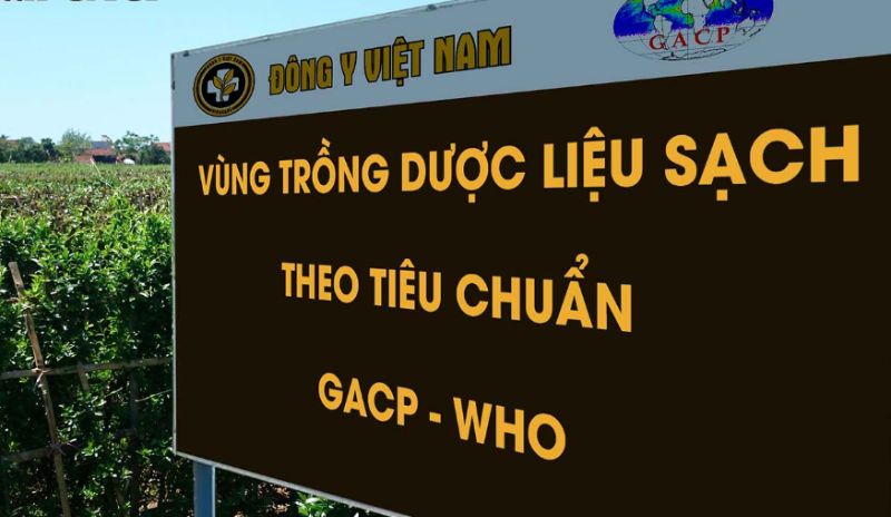 Vùng trồng dược liệu sạch của trung tâm Vùng trồng dược liệu sạch của trung tâm