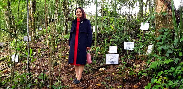 Bác sĩ Phương tại vườn dược liệu ở Hà Giang