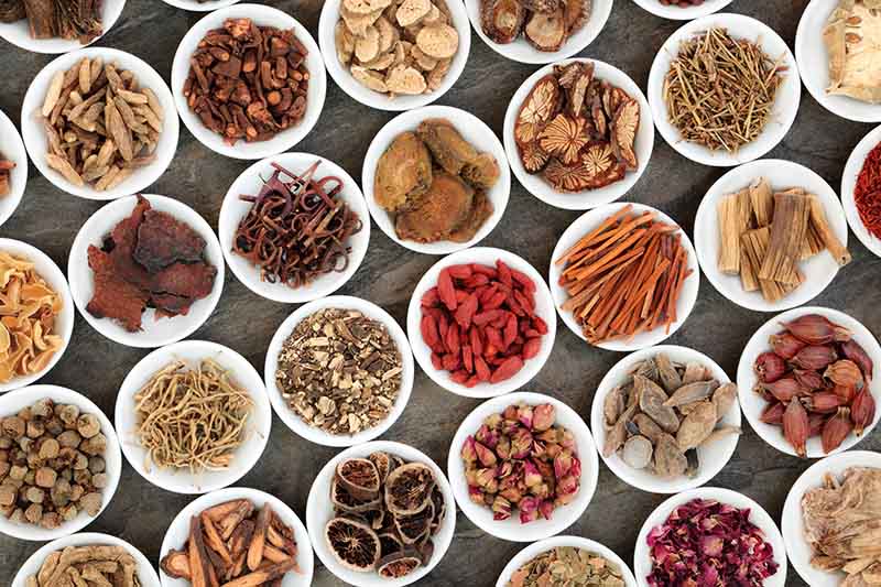 Chữa viêm amidan theo đông y Chữa viêm amidan theo đông y