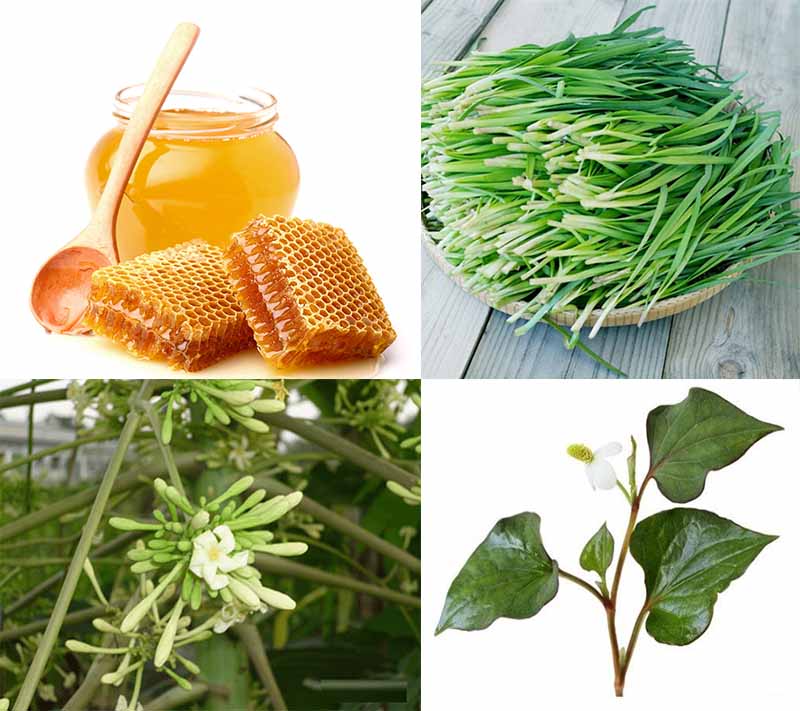 Trị ho theo dân gian chỉ dùng được trong trường hợp nhẹ Trị ho theo dân gian chỉ dùng được trong trường hợp nhẹ