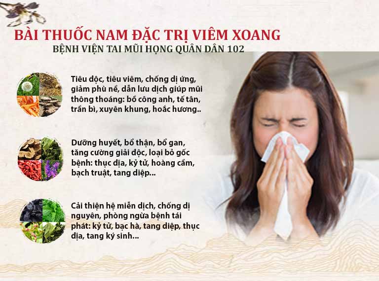 Bài thuốc đặc trị viêm xoang Quân dân 102 Bài thuốc đặc trị viêm xoang Quân dân 102