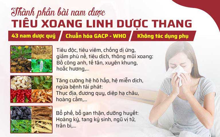 Thành phần thảo dược trong Tiêu Xoang Linh Dược Thang