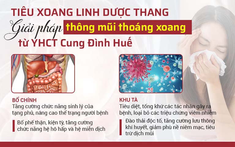 Cơ chế bổ chính khu tà điều trị viêm xoang toàn diện