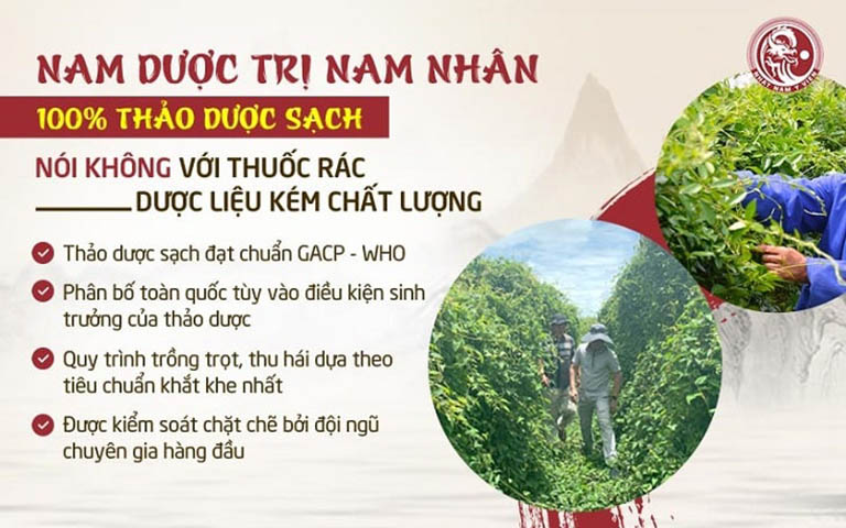 Vườn dược liệu sạch của Nhất Nam Y Viện