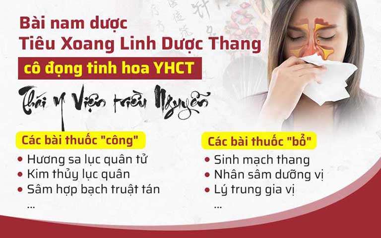 Nền tảng của bài nam dược Tiêu Xoang Linh Dược Thang