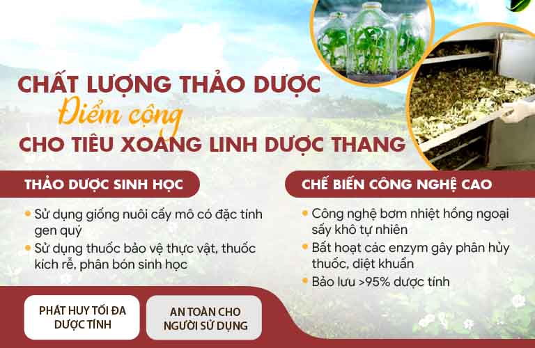 Tiêu Xoang Linh Dược Thang sử dụng thảo dược thuần khiết